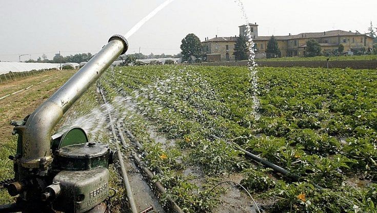 Guerra, caro energia e fertilizzanti: le vie alternative dell'agricoltura in Emilia-Romagna