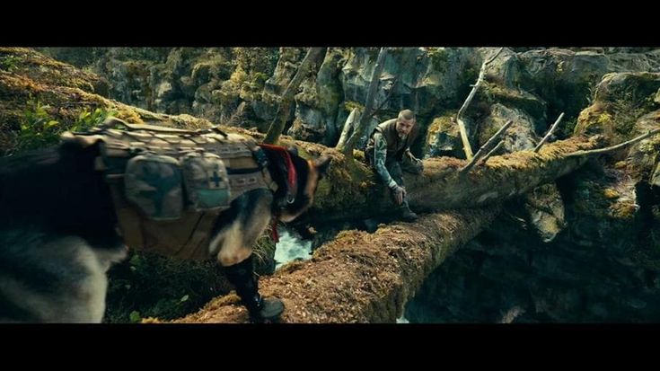 "Heart of the beast" Brad Pitt e il cane Odino nel profondo selvaggio - trailer