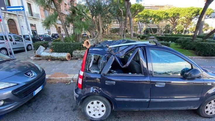 Alberi caduti, un’auto sfondata e nuove buche stradali: Bari conta i danni dopo l’ondata di maltempo