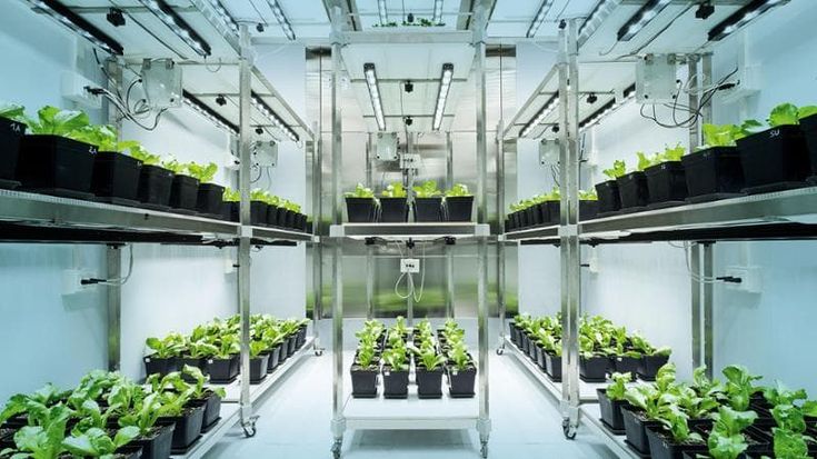Agricoltura di precisione dal Piemonte una risposta al cambiamento climatico
