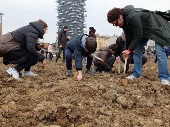 Milano, in 5mila alla semina del grano tra i grattacieli