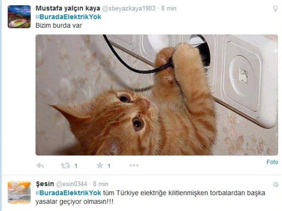 Turchia paralizzata dal blackout. Ironia su Twitter: "Tremate, i gatti son tornati"
