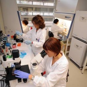Lettera dei lavoratori Irccs: "Troppi precari, ricerca a rischio"