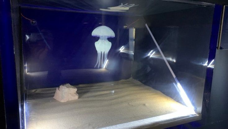 Cilento, inaugurato il primo acquario virtuale d'Italia