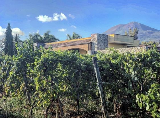 Casa Setaro, un viaggio enogastronomico tra Tokyo e il Vesuvio