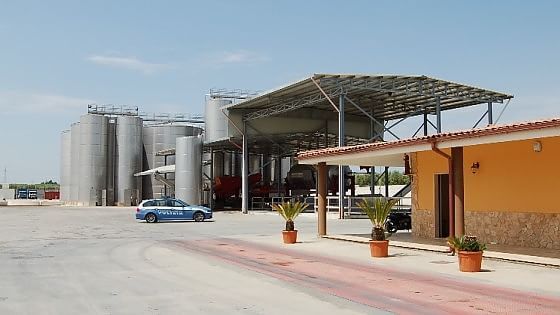 Foggia, maxifurto di olio d'oliva spagnolo da taroccare come pugliese: due incastrati dal Gps