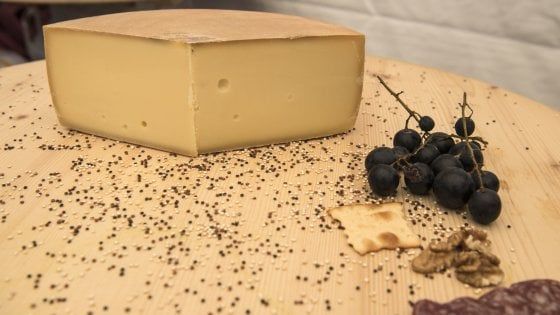 A Lucerna si sfidano i grandi formaggi della Svizzera con gli Swiss Cheese Awards