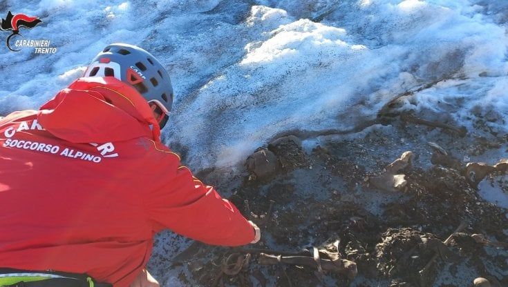 Trento, il ghiacciaio restituisce un milite ignoto: trovati il corpo e l'equipaggiamento di un soldato austro-ungarico