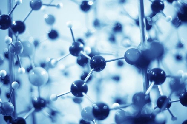 Sirt1720, ecco la proteina che allunga la vita: risultati straordinari dai test sui topi