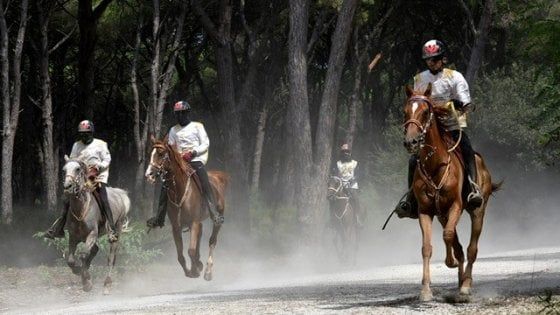 Equitazione, 'Toscana Endurance Lifesty': dal 16 al 20 settembre il mondo a San Rossore