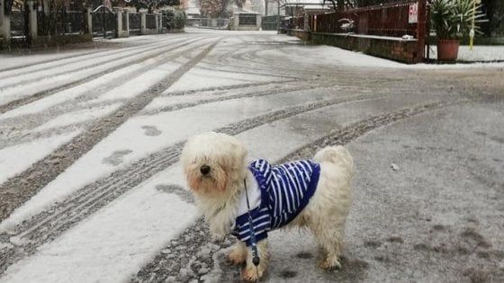 Maltempo, è arrivata la prima neve. Fiocchi anche in città