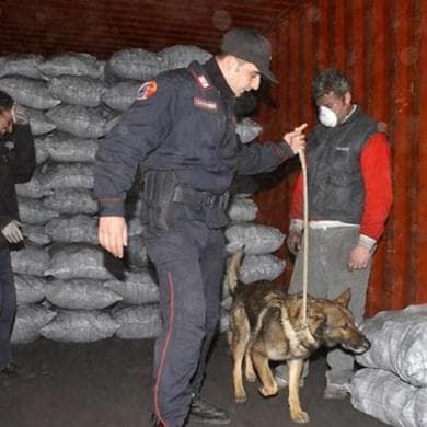 Narcotraffico dal Brasile, condannate le lady Assisi con pene fino a 10 anni