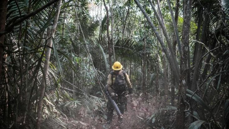 Brasile, l’ultradestra prepara il nuovo assalto all’Amazzonia: “Più pascoli e meno alberi”