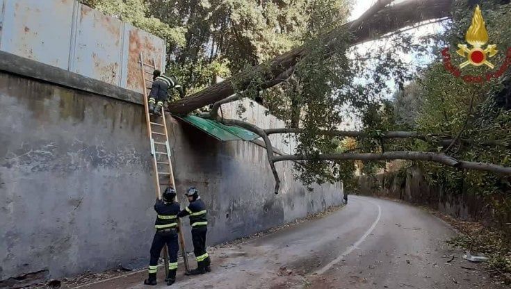 Roma, albero crolla sull'Aurelia Antica e rompe muro di cinta: strada chiusa
