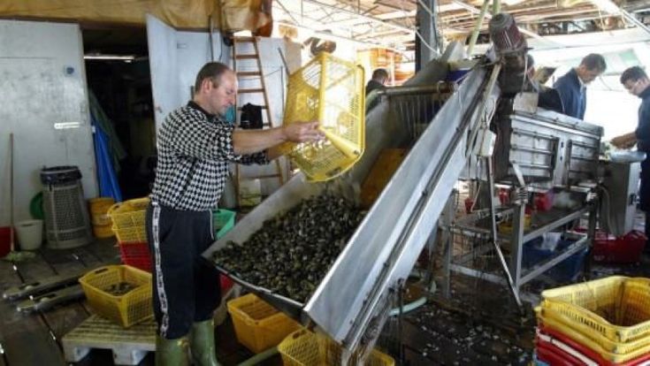 “Noi pescatori in guerra con la Spagna per raccogliere ancora le vongole”