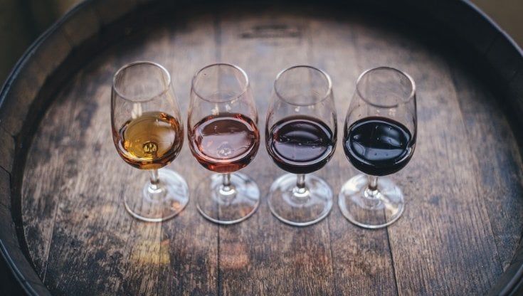 Vino, boom di ricerche online per rosati e prosecco. Ma i rossi battono tutti
