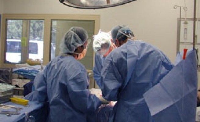 Muore dopo il parto cesareo,<br />pm apre un'inchiesta: 11 indagati