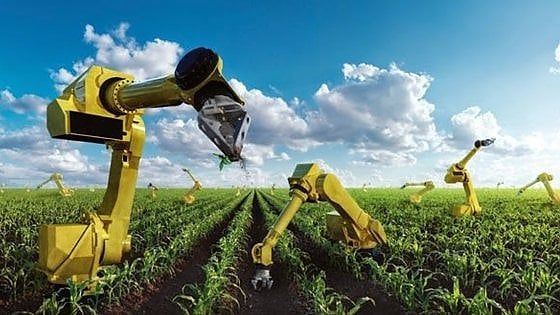 "Organizzazioni autonome decentralizzate". Quando la tecnologia fa a meno dell'uomo per salvare il pianeta 