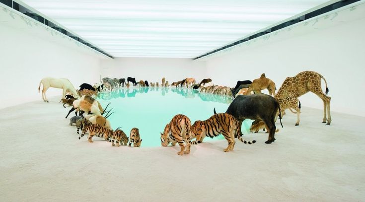 Tra arte e scienza, così è cambiata l'immagine degli animali nella storia