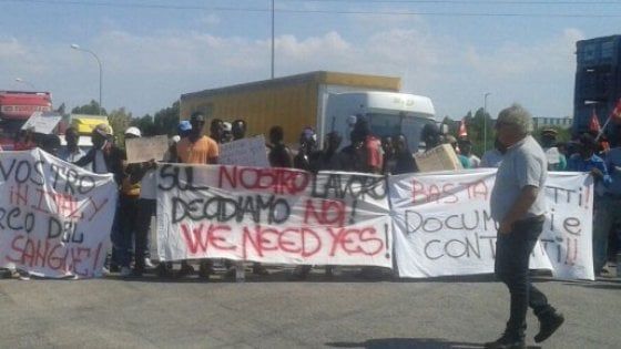 Foggia, braccianti in rivolta davanti alla fabbrica di pomodoro: "Siete sporchi di sangue"