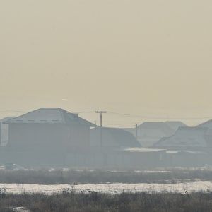 Arriva la Legge sul Clima: cambia il volto della gestione d’impresa