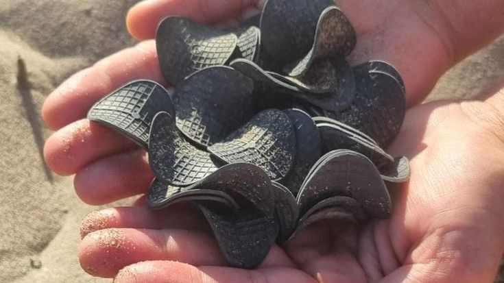 Puglia, la costa invasa da dischetti di plastica nera: “Un mistero, forse arrivano dall’Adige”