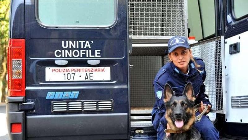 Gnocchi all’hashish, il cane scopre la droga in carcere a Torino