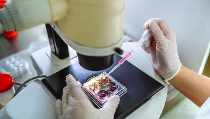 Procreazione assistita e freezing, obiettivo aumentare le nascite