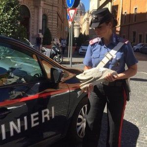 Trapani: minacce di morte e botte a pensionata, arrestata badante