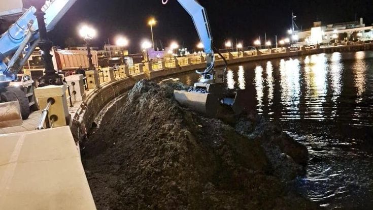 Bari, cumuli di posidonia sul lungomare: via alla rimozione. “Segno di buona salute del nostro mare”