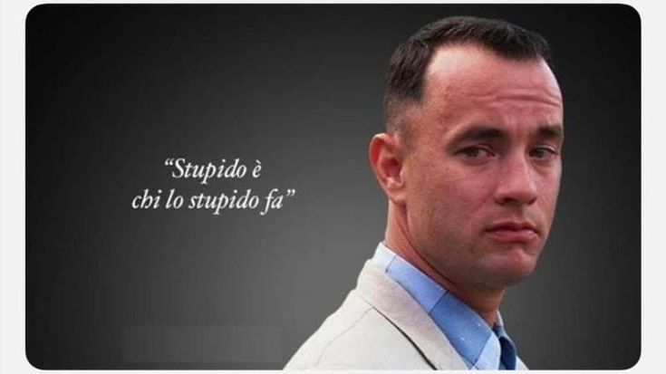Insulto nel codice, Lepore cita Forrest Gump: “Stupido è chi stupido fa”