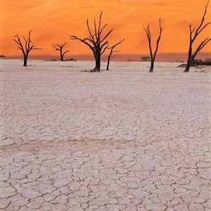 Clima, il 25% della Terra rischia di diventare deserto