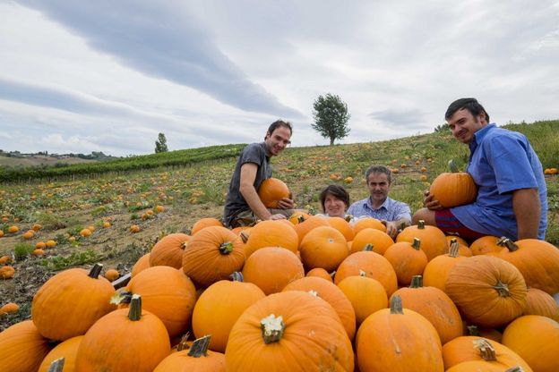 Da 5 zucche a 50mila: Marco e il grande business di Halloween