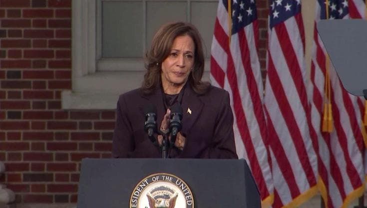 Usa 2024, Kamala Harris: "La luce della promessa americana brillerà sempre finché continueremo a lottare"