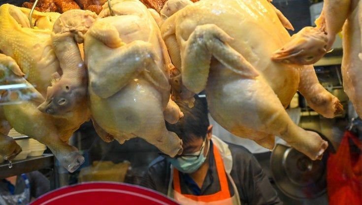 L'inflazione scatena la guerra del pollo: la Malesia chiude l'export, Singapore resta a secco di carne