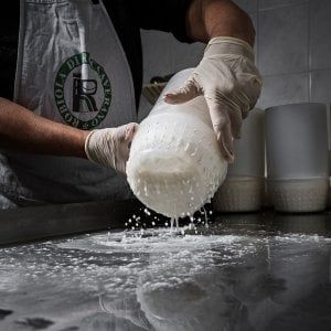  Robiola di Roccaverano Dop: produzione in aumento e cambio di nome in vista