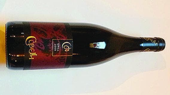 Dai masi trentini i vini del gesso