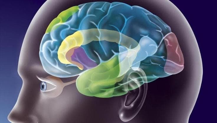 Non è l’età a spegnere il cervello: a volte è la pensione
