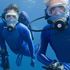 Il mare di Cousteau con la voce di Schwarzy: 
