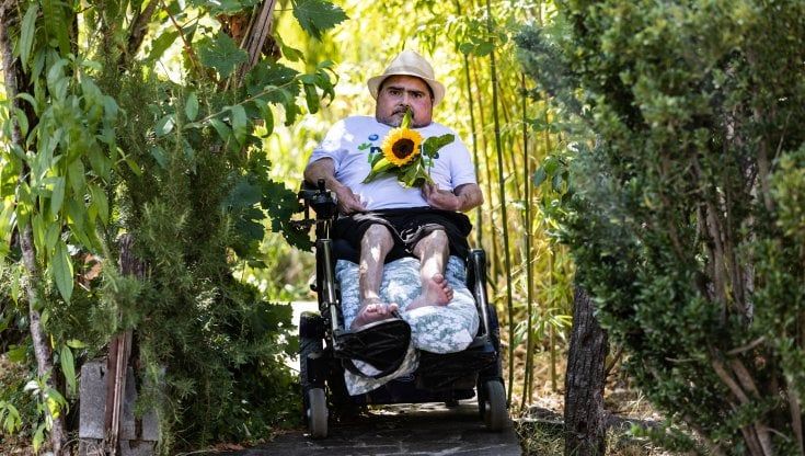 La cannabis e i dolori del giovane Walter