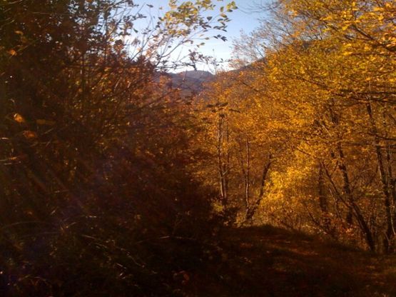Novembre, cartoline estive dal Parmense