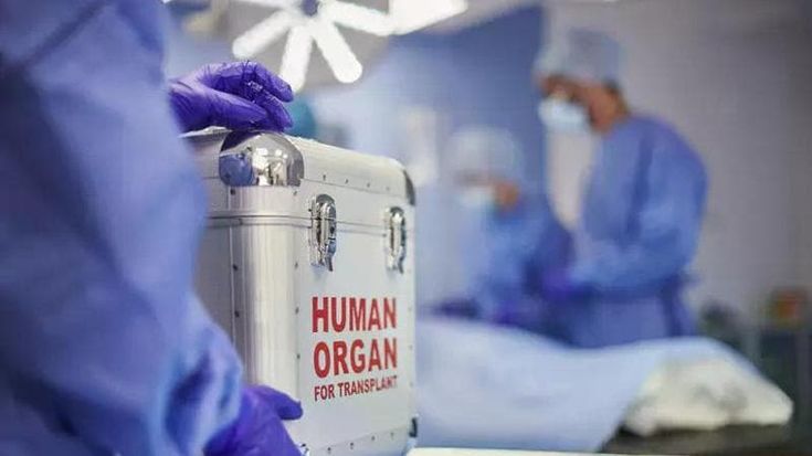 I trapianti di cuore pediatrici sono interventi rari, in Italia se ne fanno trenta l’anno