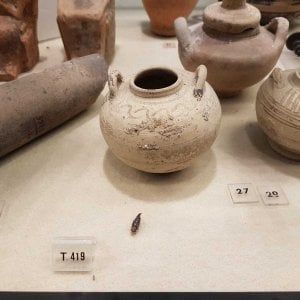 Gli escrementi nelle teche del museo di Siracusa: la Regione finanzia la pulizia
