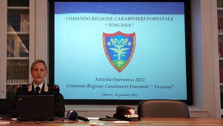 Otto cani uccisi, i carabinieri forestali sulle tracce dei delinquenti