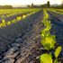 “Natura e agricoltura (non intensiva), una riconciliazione è possibile”