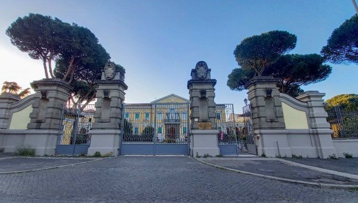 Allo Spallanzani i medici hanno l'autista per le visite a domicilio.  Vaia affitta 12 chauffeur: "Ma solo con un bell'outfit"