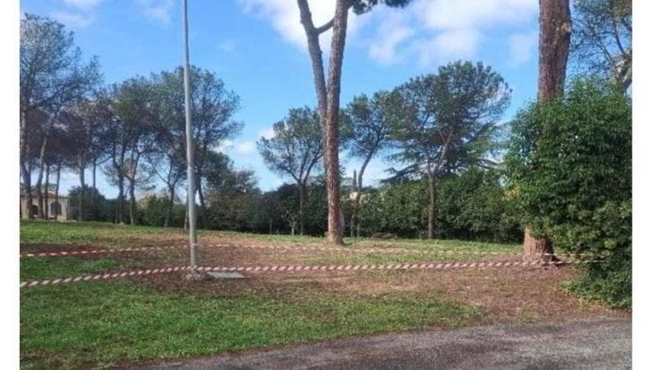 Monte Mario, la scuola Leopardi resta senza pineta: “Alberi instabili”