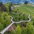 Quattro passi sopra gli alberi. Nel San Gallo un cammino sospeso che incanta