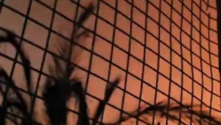 L'ultimo video del giornalista di Al Jazeera prima di essere ucciso dal bombardamento