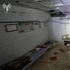 Memoria, il ricordo della nuova Shoah
